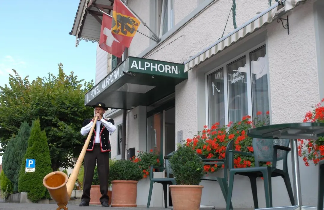 Hotel Alphorn-1